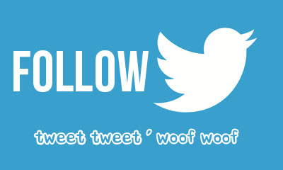 Follow Jackie's K9 Pet Care on Twitter